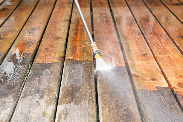 Best Driveway Pressure Washing  in Lake Wynonah, PA